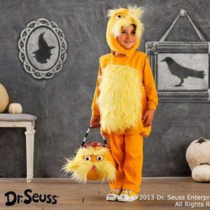 ISO Pottery Barn -- The Lorax costume